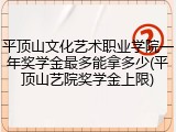 平顶山文化艺术职业学院一年奖学金最多能拿多少(平顶山艺院奖学金上限)