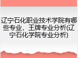辽宁石化职业技术学院有哪些专业，王牌专业分析(辽宁石化学院专业分析)