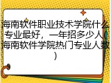 海南软件职业技术学院什么专业最好，一年招多少人(海南软件学院热门专业人数)