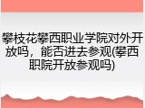 攀枝花攀西职业学院对外开放吗，能否进去参观(攀西职院开放参观吗)