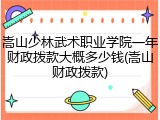 嵩山少林武术职业学院一年财政拨款大概多少钱(嵩山财政拨款)