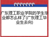 广东理工职业学院的学生毕业都怎么样了(广东理工毕业生去向)