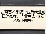 云南艺术学院毕业后就业前景怎么样，毕业生去向(云艺就业前景)