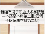 新疆石河子职业技术学院是一本还是本科第二批(石河子职院属本科第二批)