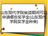 山东现代学院就读期间可以申请哪些奖学金(山东现代学院奖学金种类)