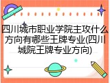 四川城市职业学院主攻什么方向有哪些王牌专业(四川城院王牌专业方向)