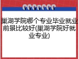 巢湖学院哪个专业毕业就业前景比较好(巢湖学院好就业专业)