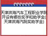 天津滨海汽车工程职业学院开设有哪些奖学和助学金(天津滨海汽院奖助学金)