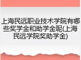 上海民远职业技术学院有哪些奖学金和助学金呢(上海民远学院奖助学金)