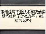 惠州经济职业技术学院就读期间挂科了怎么办呢？(挂科怎么办)