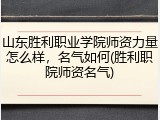 山东胜利职业学院师资力量怎么样，名气如何(胜利职院师资名气)