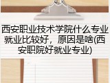 西安职业技术学院什么专业就业比较好，原因是啥(西安职院好就业专业)