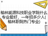 榆林能源科技职业学院什么专业最好，一年招多少人(榆林职院热门专业)