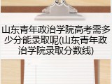 山东青年政治学院高考需多少分能录取呢(山东青年政治学院录取分数线)