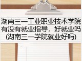 湖南三一工业职业技术学院有没有就业指导，好就业吗(湖南三一学院就业好吗)
