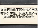 湖南石油化工职业技术学院有多少学生，师资力量如何(湖南石化学院规模师资)