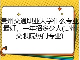 贵州交通职业大学什么专业最好，一年招多少人(贵州交职院热门专业)