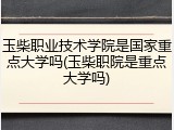 玉柴职业技术学院是国家重点大学吗(玉柴职院是重点大学吗)