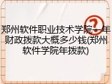 郑州软件职业技术学院一年财政拨款大概多少钱(郑州软件学院年拨款)