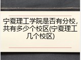 宁夏理工学院是否有分校，共有多少个校区(宁夏理工几个校区)