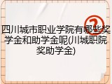 四川城市职业学院有哪些奖学金和助学金呢(川城职院奖助学金)