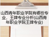 山西青年职业学院有哪些专业，王牌专业分析(山西青年职业学院王牌专业)