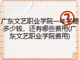 广东文艺职业学院一年学费多少钱，还有哪些费用(广东文艺职业学院费用)