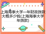 上海海事大学一年财政拨款大概多少钱(上海海事大学年拨款)