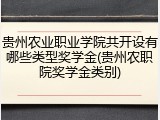 贵州农业职业学院共开设有哪些类型奖学金(贵州农职院奖学金类别)