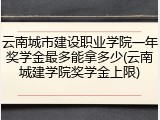 云南城市建设职业学院一年奖学金最多能拿多少(云南城建学院奖学金上限)