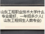 山东工程职业技术大学什么专业最好，一年招多少人(山东工程招生人数专业)
