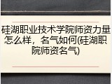 硅湖职业技术学院师资力量怎么样，名气如何(硅湖职院师资名气)