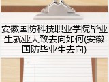安徽国防科技职业学院毕业生就业大致去向如何(安徽国防毕业生去向)