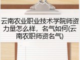 云南农业职业技术学院师资力量怎么样，名气如何(云南农职师资名气)