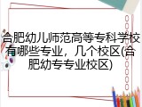 合肥幼儿师范高等专科学校有哪些专业，几个校区(合肥幼专专业校区)