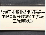 盐城工业职业技术学院是一本吗录取分数线多少(盐城工院录取线)
