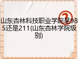山东杏林科技职业学院是985还是211(山东杏林学院级别)