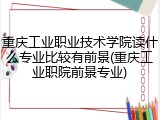 重庆工业职业技术学院读什么专业比较有前景(重庆工业职院前景专业)