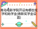 青岛电影学院开设有哪些奖学和助学金(青影奖学金设置)