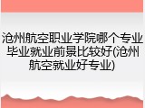 沧州航空职业学院哪个专业毕业就业前景比较好(沧州航空就业好专业)