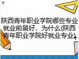 陕西青年职业学院哪些专业就业前景好，为什么(陕西青年职业学院好就业专业)