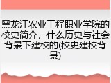 黑龙江农业工程职业学院的校史简介，什么历史与社会背景下建校的(校史建校背景)