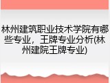 林州建筑职业技术学院有哪些专业，王牌专业分析(林州建院王牌专业)