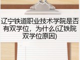辽宁铁道职业技术学院是否有双学位，为什么(辽铁院双学位原因)