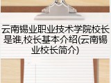 云南锡业职业技术学院校长是谁,校长基本介绍(云南锡业校长简介)