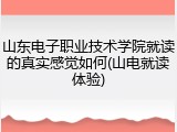 山东电子职业技术学院就读的真实感觉如何(山电就读体验)