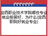 定西职业技术学院哪些专业就业前景好，为什么(定西职院好就业专业)