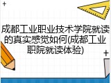 成都工业职业技术学院就读的真实感觉如何(成都工业职院就读体验)
