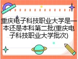 重庆电子科技职业大学是一本还是本科第二批(重庆电子科技职业大学批次)