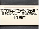 渭南职业技术学院的学生毕业都怎么样了(渭南职院毕业生去向)